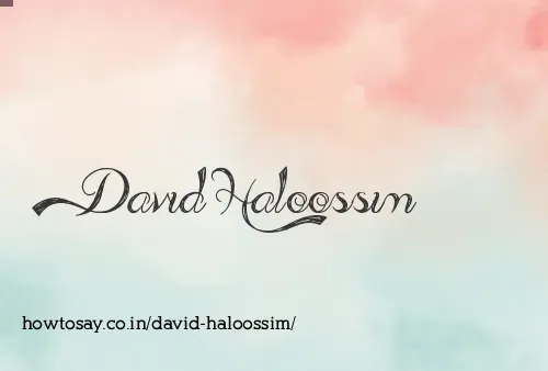 David Haloossim