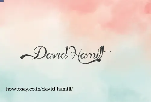 David Hamilt