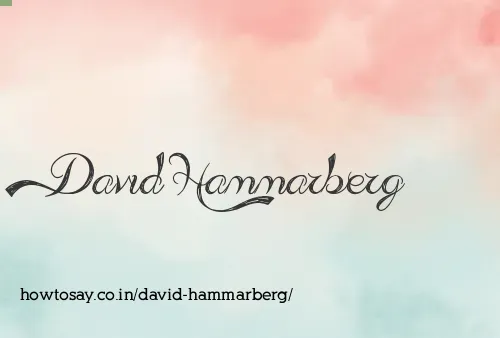 David Hammarberg