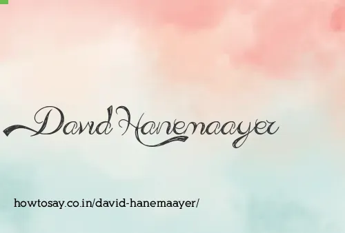 David Hanemaayer