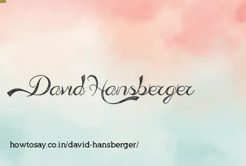 David Hansberger