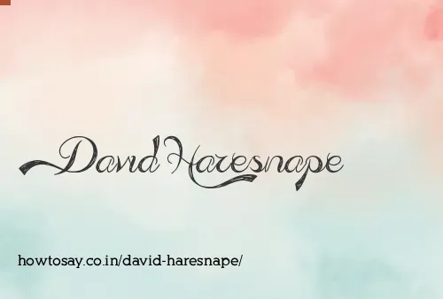 David Haresnape