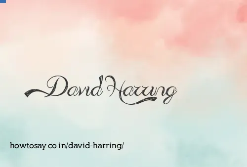 David Harring