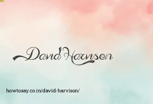 David Harvison