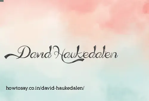 David Haukedalen