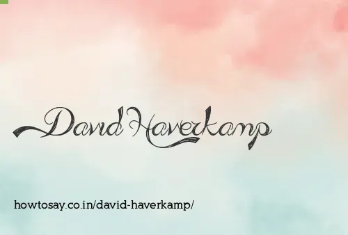David Haverkamp