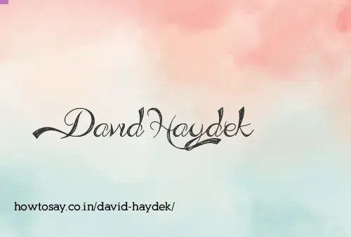 David Haydek
