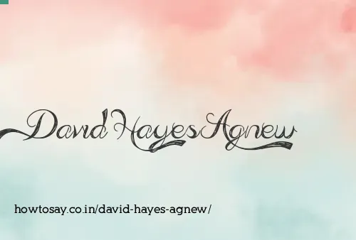 David Hayes Agnew