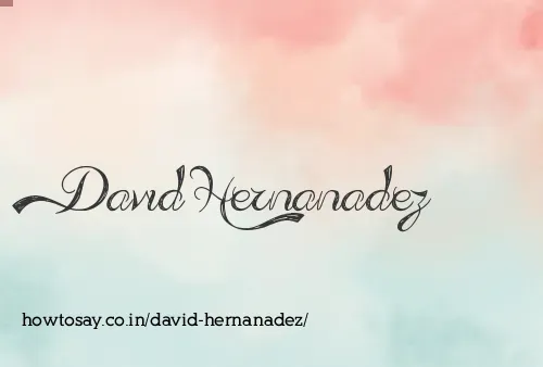 David Hernanadez
