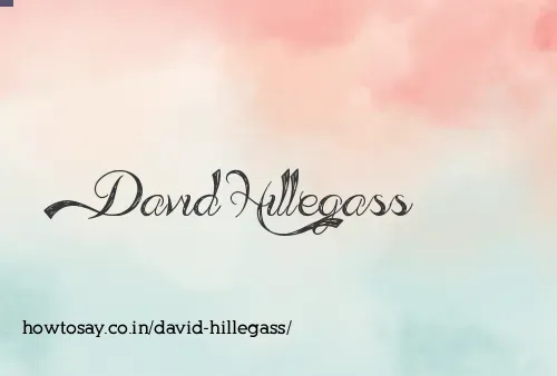 David Hillegass