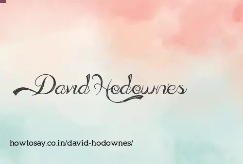 David Hodownes