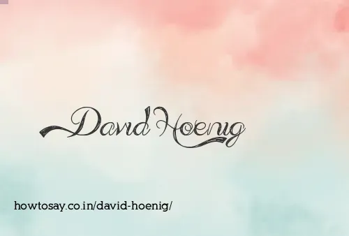 David Hoenig