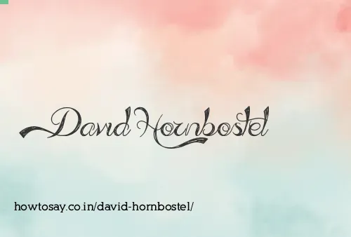 David Hornbostel