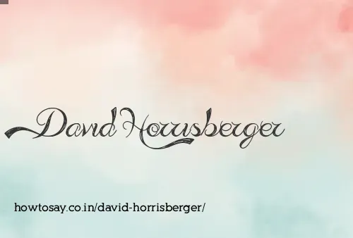 David Horrisberger