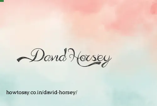David Horsey