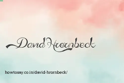 David Hrornbeck
