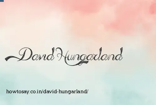 David Hungarland