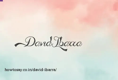 David Ibarra