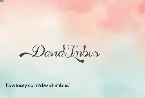 David Imbus