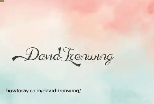 David Ironwing