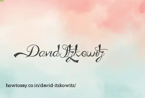 David Itzkowitz