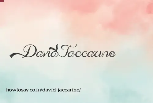 David Jaccarino