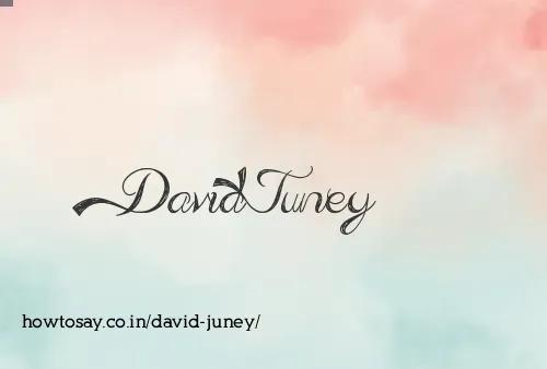 David Juney