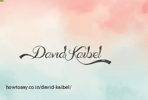 David Kaibel