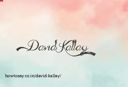 David Kallay