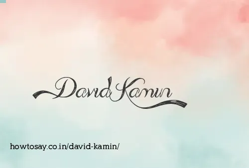 David Kamin