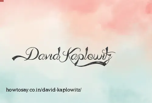 David Kaplowitz