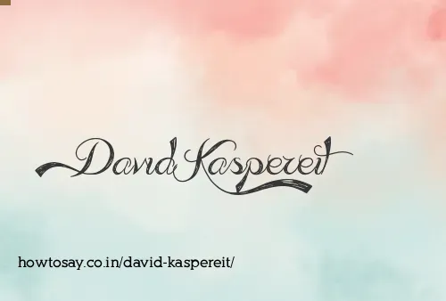 David Kaspereit