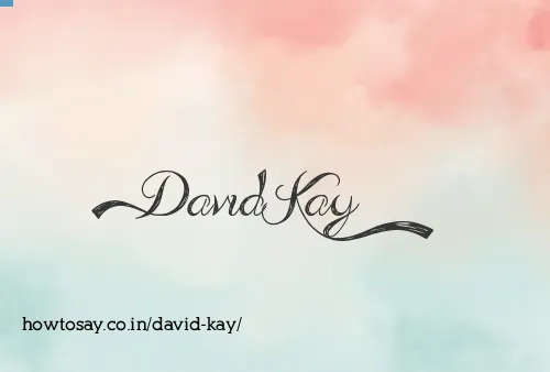David Kay