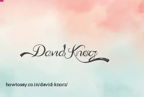 David Knorz