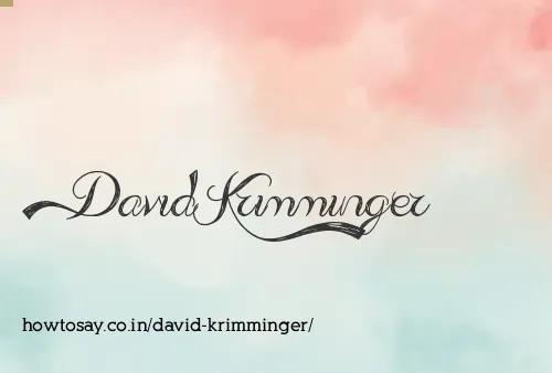 David Krimminger