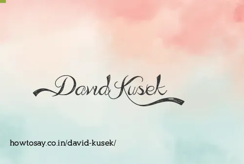 David Kusek