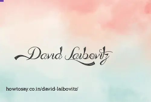David Laibovitz