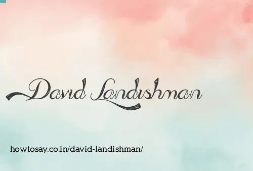David Landishman