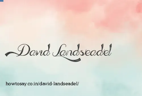 David Landseadel