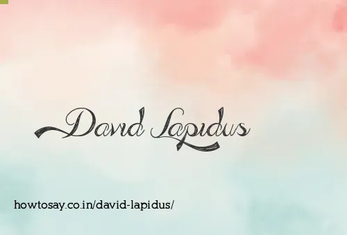 David Lapidus
