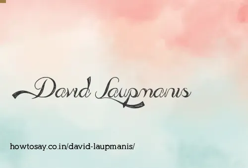 David Laupmanis