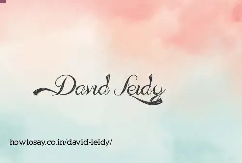 David Leidy