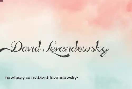 David Levandowsky