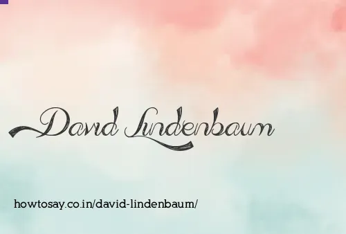 David Lindenbaum