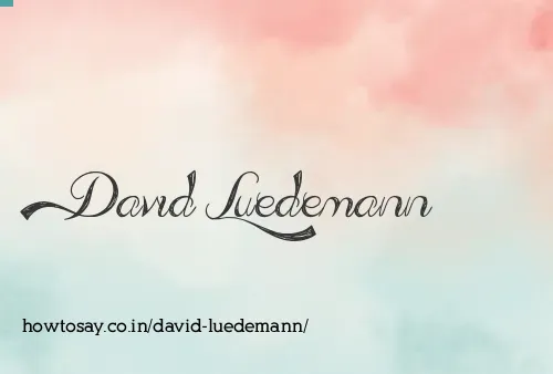 David Luedemann
