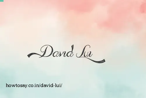 David Lui