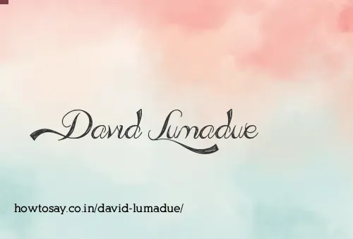 David Lumadue