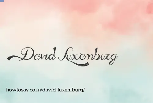 David Luxemburg