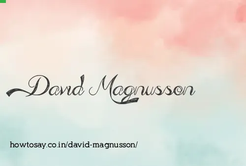 David Magnusson
