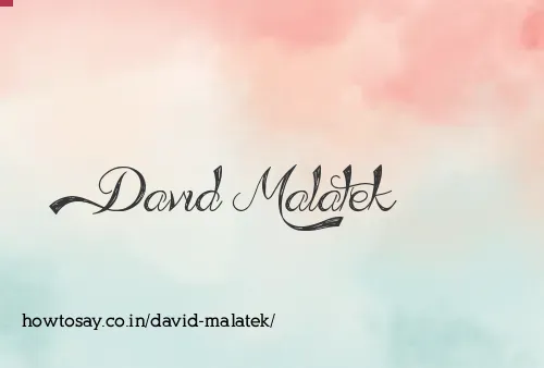 David Malatek
